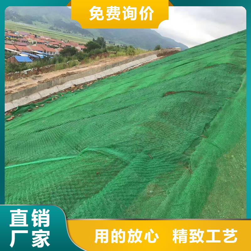 三维植被网【三维水土保护毯】源头实体厂商