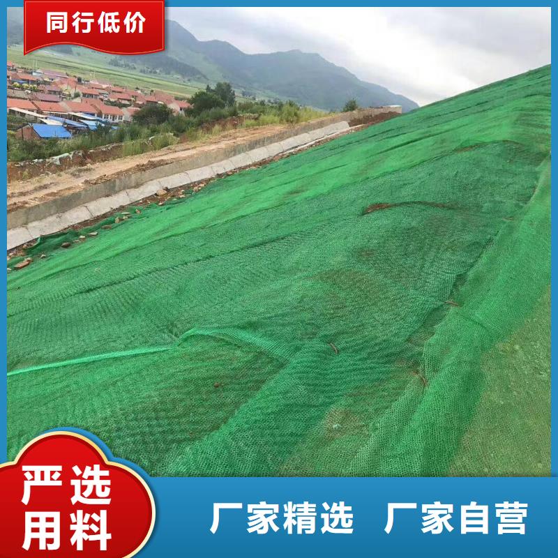 三维植草网——三维植被网批发厂家_欢迎咨询