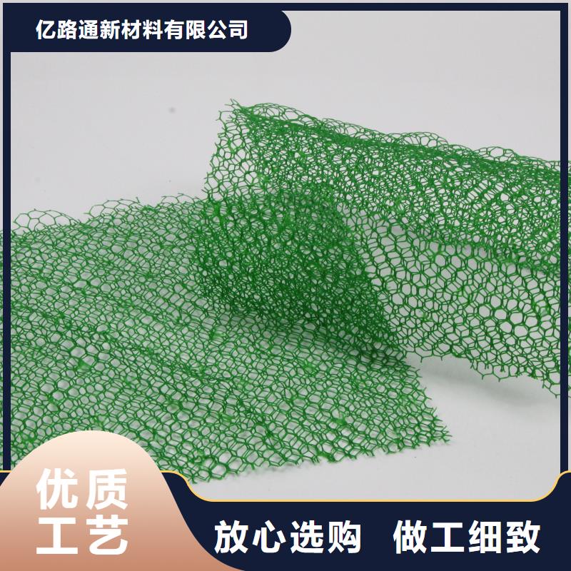 三维植被网-三维土工网垫优质工艺
