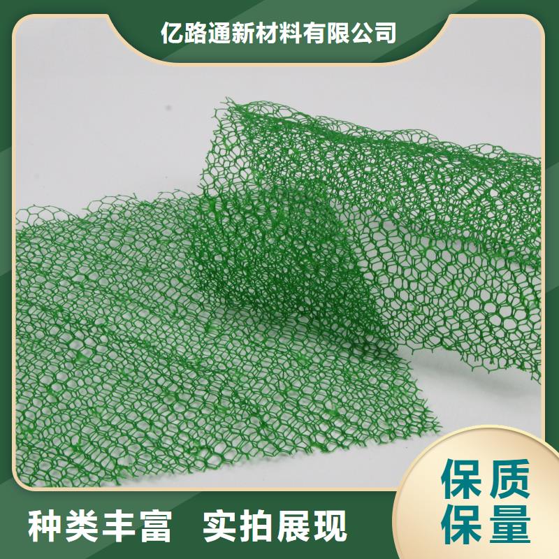 三维植草网——三维植被网批发厂家_欢迎咨询
