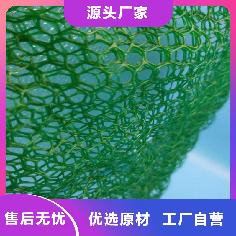 三维植被网防水土工布厂家厂家十分靠谱