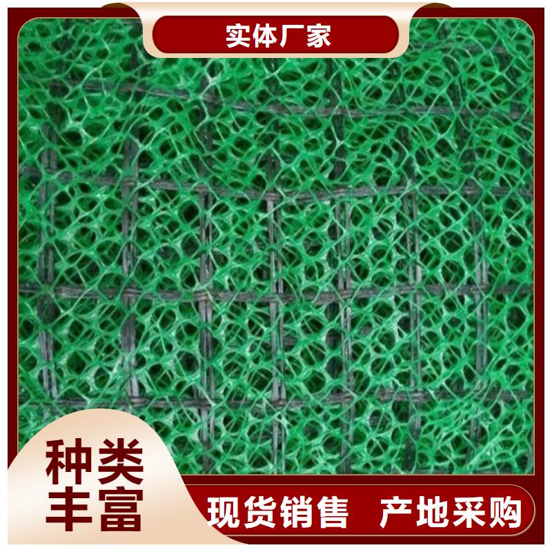 三维植草网——三维植被网批发厂家_欢迎咨询