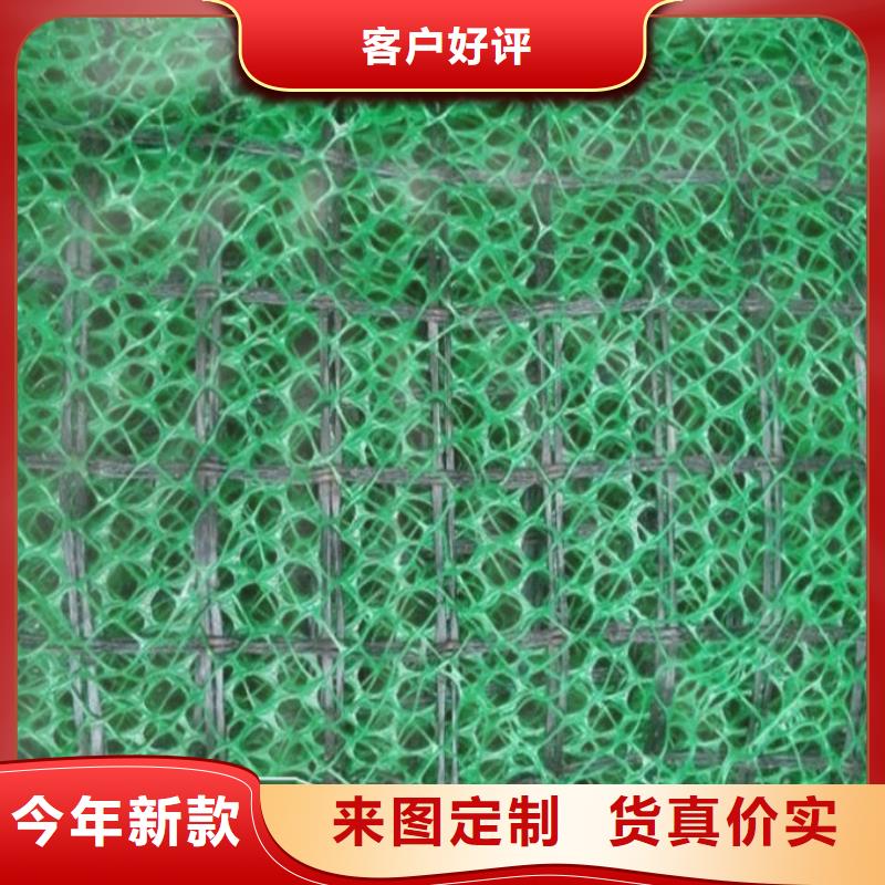 三维植被网-三维土工网垫优质工艺