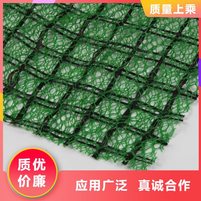 三维植被网【三维水土保护毯】源头实体厂商