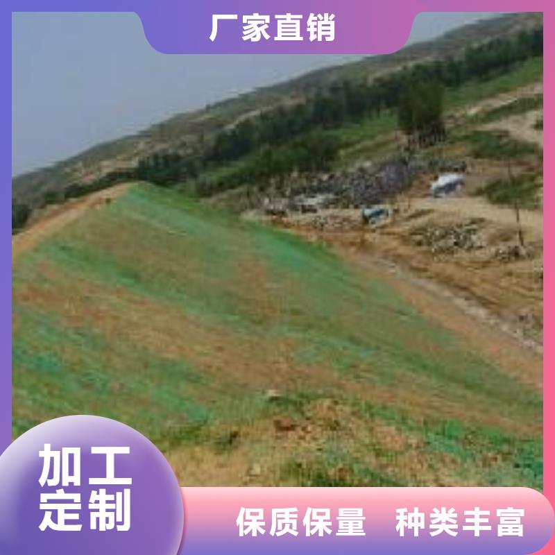 三维植被网,土工席垫专业生产厂家