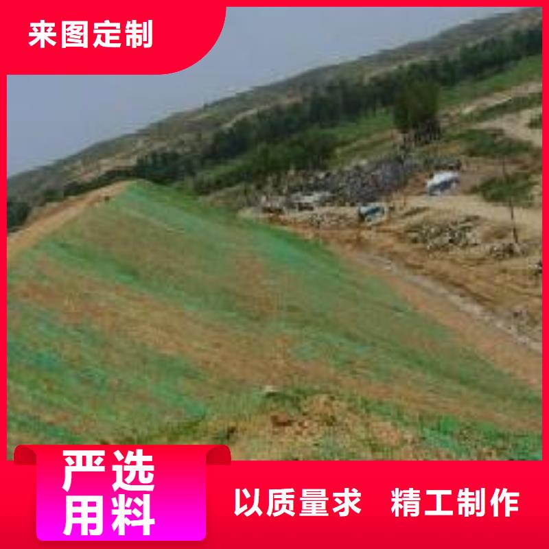 三维植被网,塑料盲沟严格把关质量放心