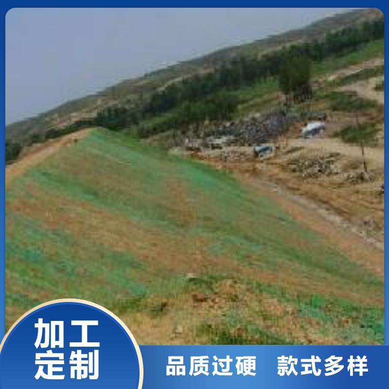 三维植草网——三维植被网批发厂家_欢迎咨询