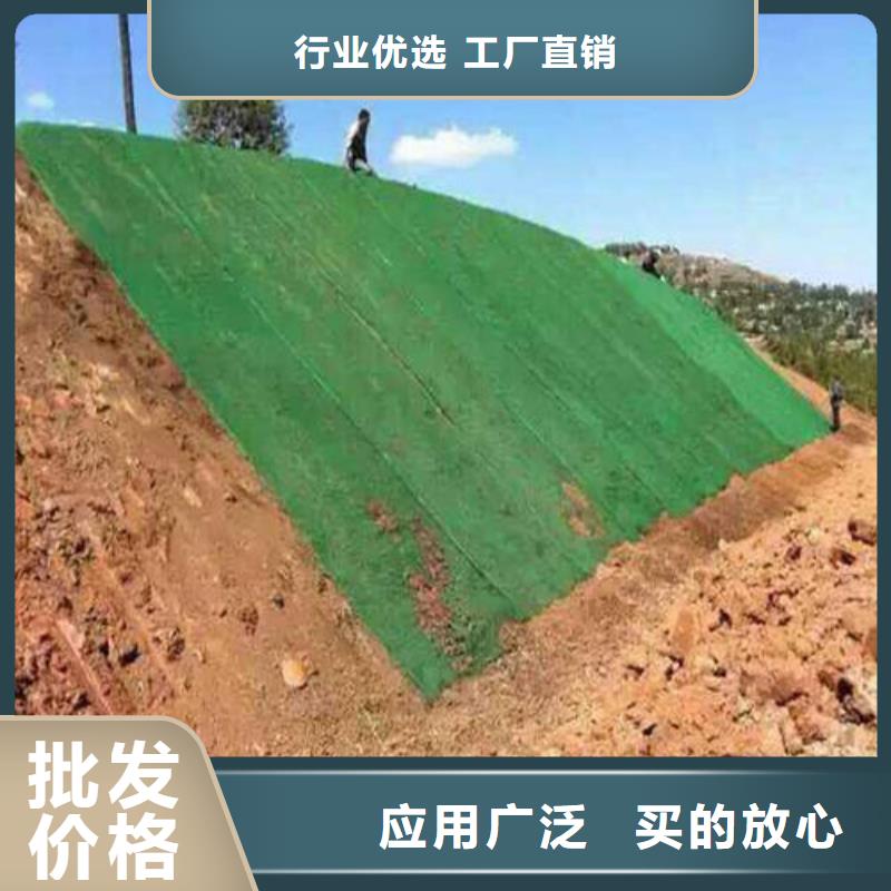三维植被网塑料盲沟品质做服务