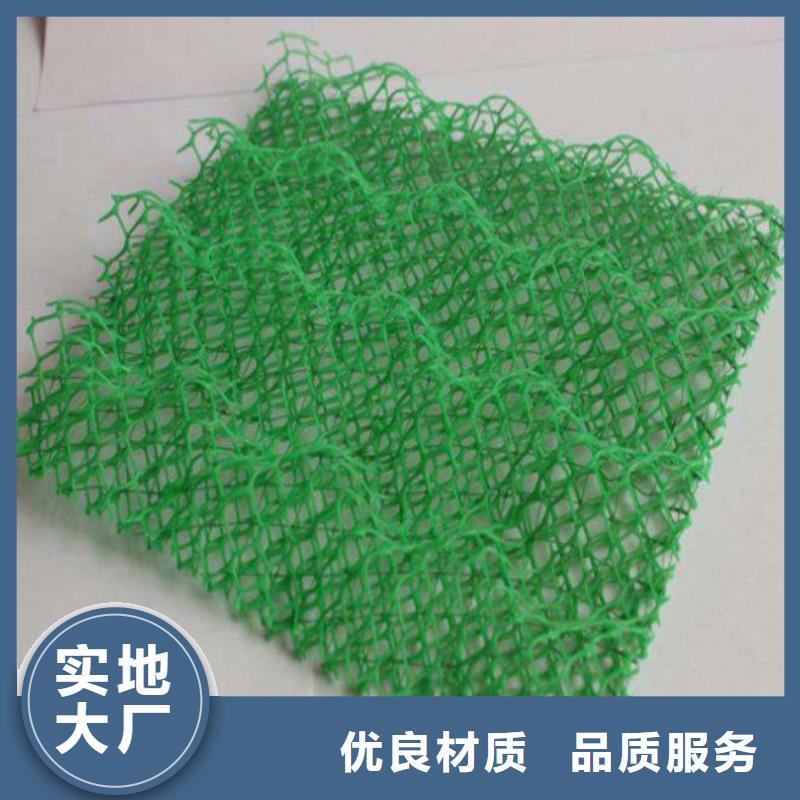 三维植被网钢塑土工格栅一站式采购商家