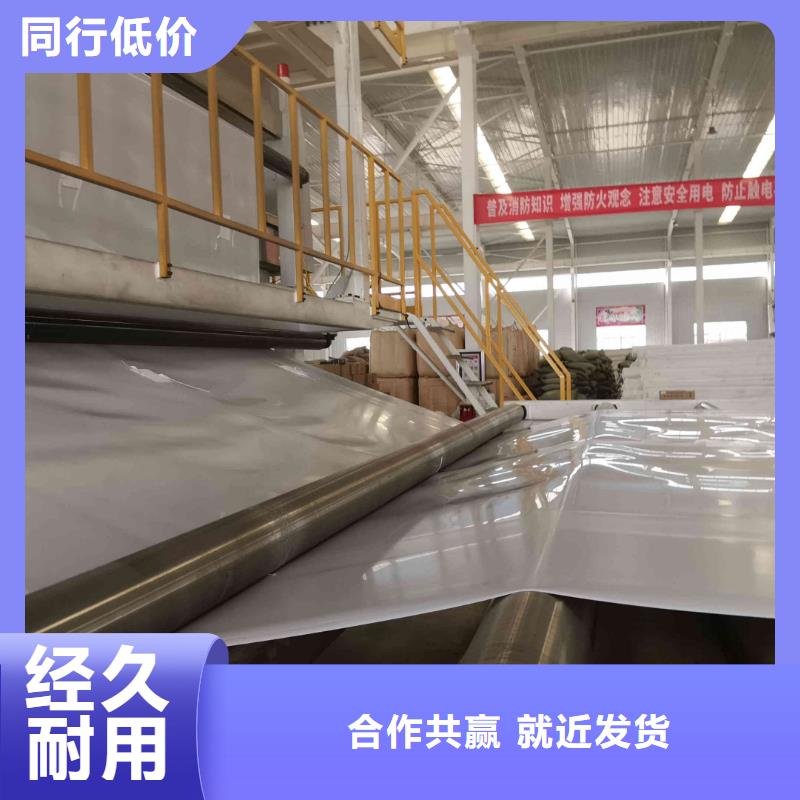 EVA防水板_膨润土防水毯品质保障价格合理