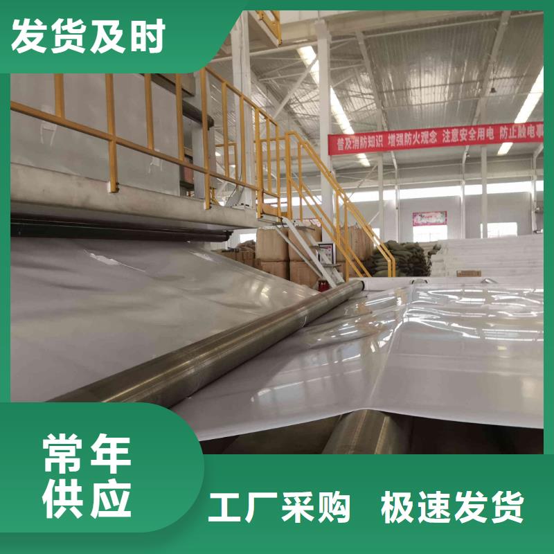 EVA防水板-塑料排水板厂家直销放心