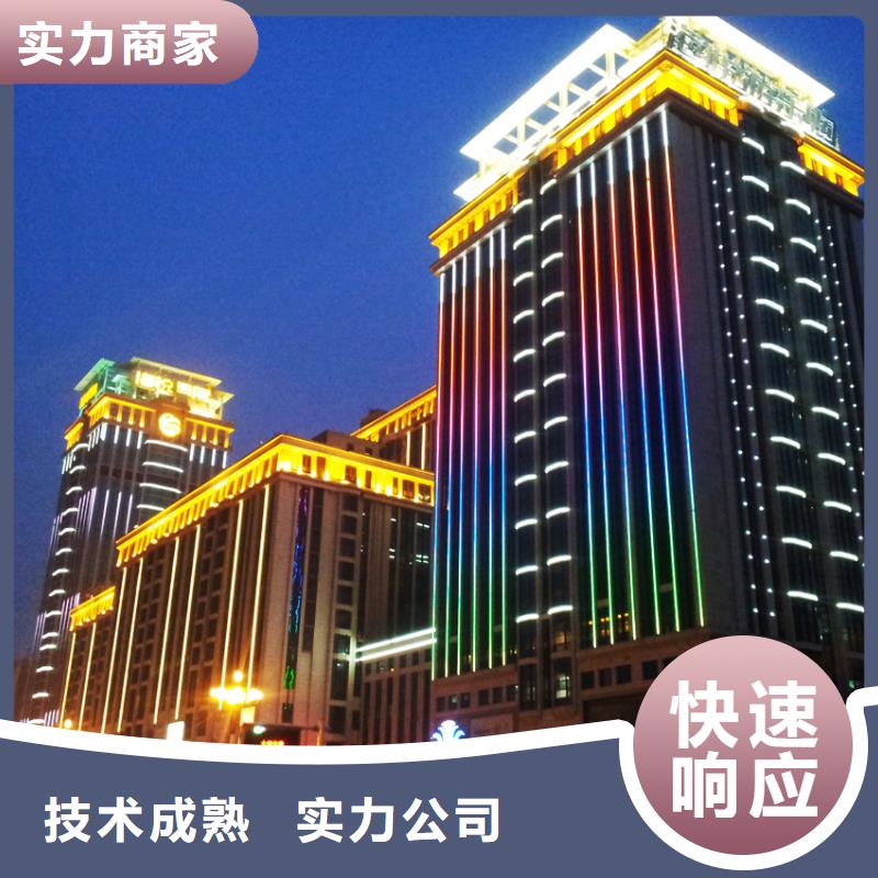 政亮化画册设计制作高品质
