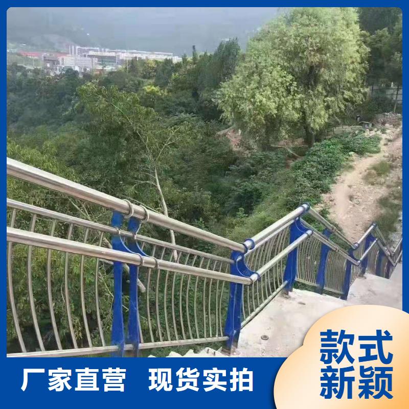 桥梁护栏品质铸就品牌
