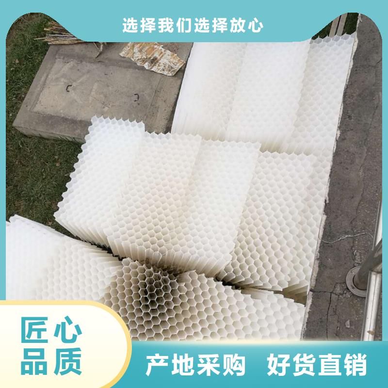斜管填料【沸石】用品质赢得客户信赖