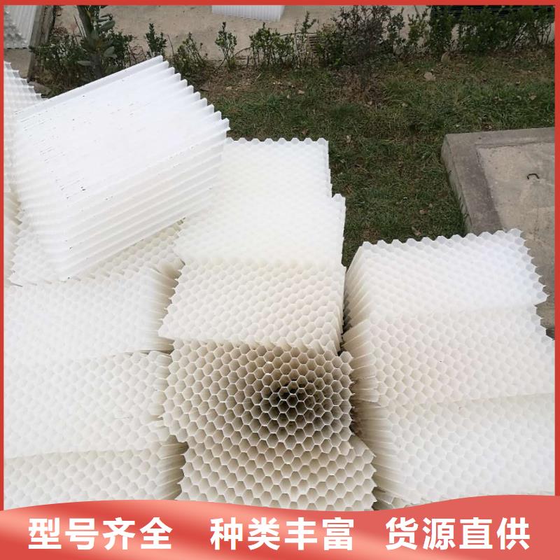 斜管填料【沸石】用品质赢得客户信赖