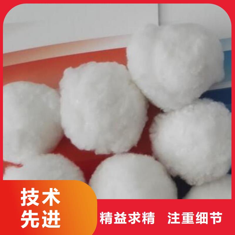 纤维球鲍尔环源厂直销