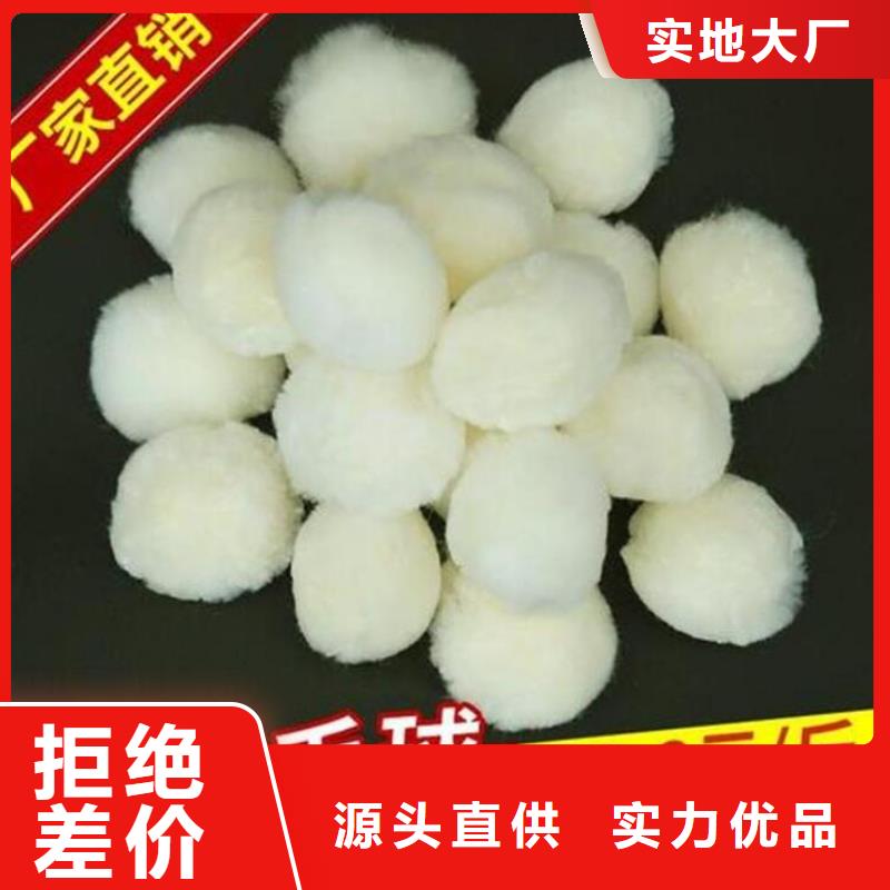 纤维球鲍尔环源厂直销