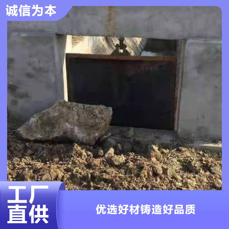 铸铁拍门源头生产厂家屯昌县