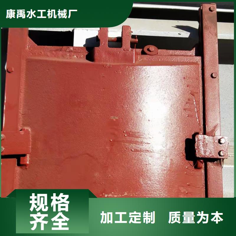 铸铁闸门用好材做好产品