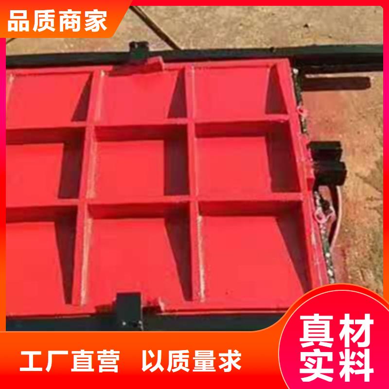 铸铁闸门服务至上