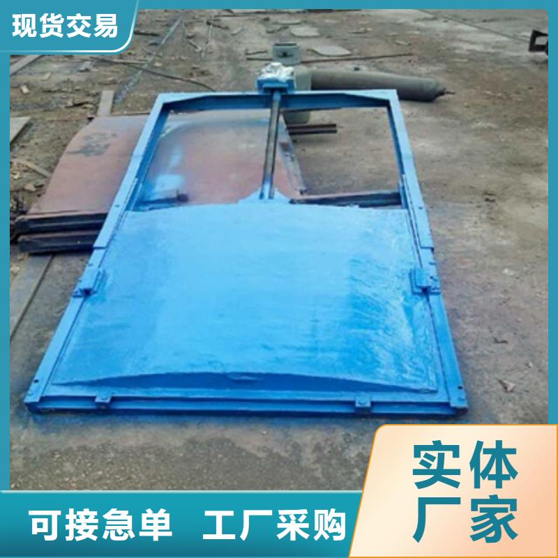 铸铁闸门品质商家