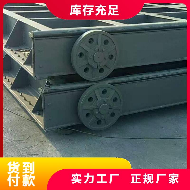 钢闸门多年行业积累