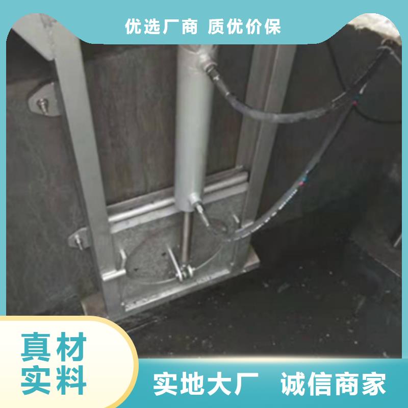 钢闸门,电动头启闭机品质有保障
