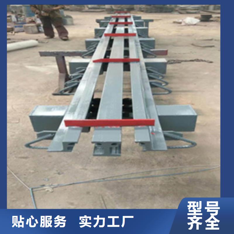 d160桥梁伸缩缝来图定制海南乐东县生产厂家