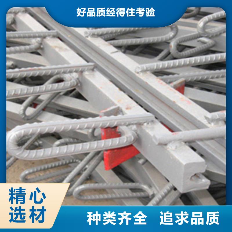 桥梁伸缩缝装置模数式