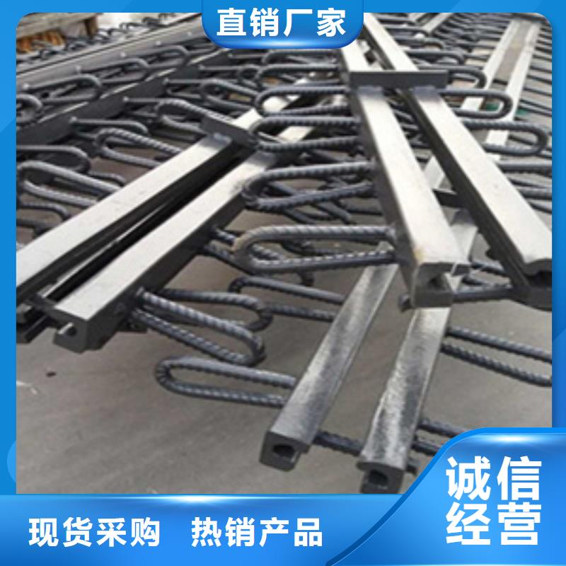 桥梁伸缩缝E型