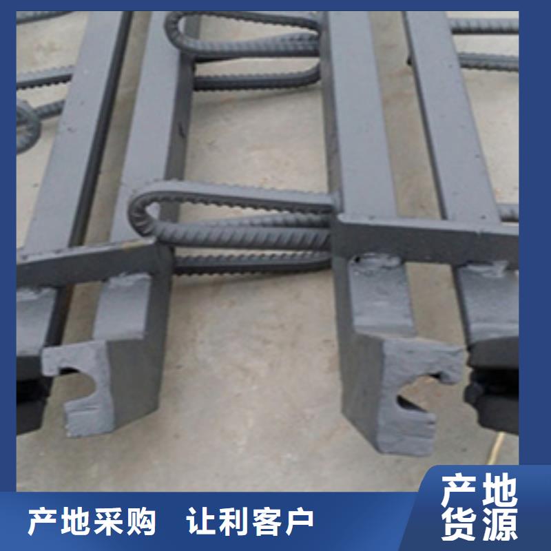 桥梁伸缩缝E型