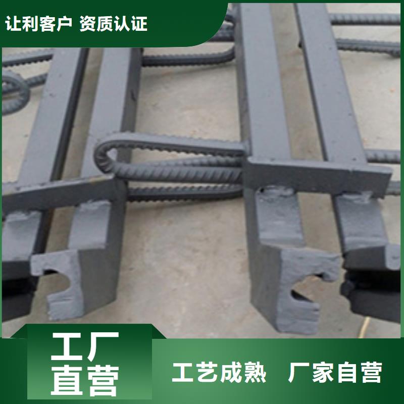 桥梁伸缩缝装置E型