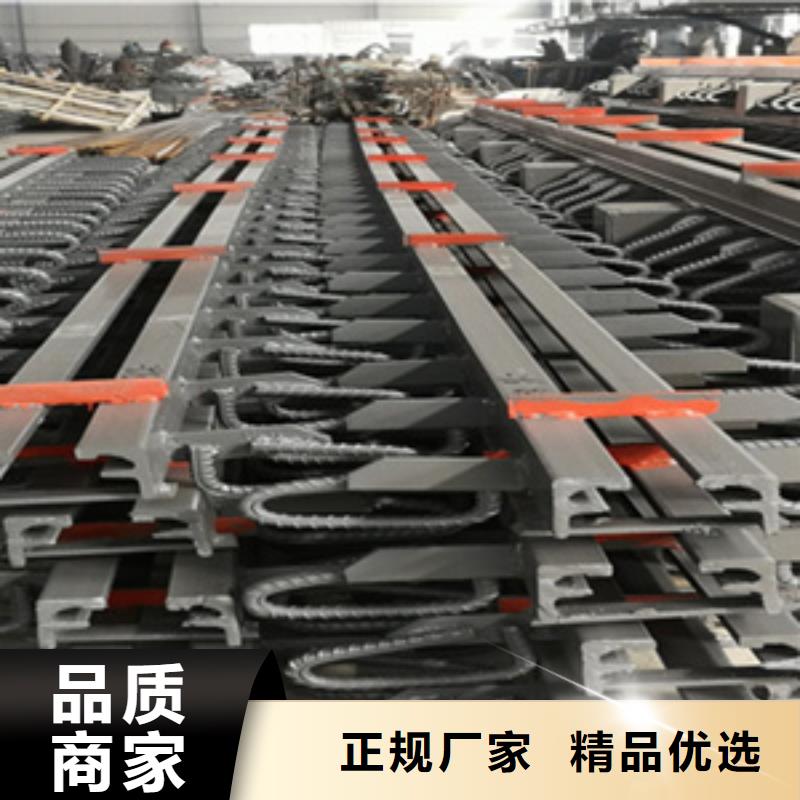 模数式伸缩缝按图纸定做