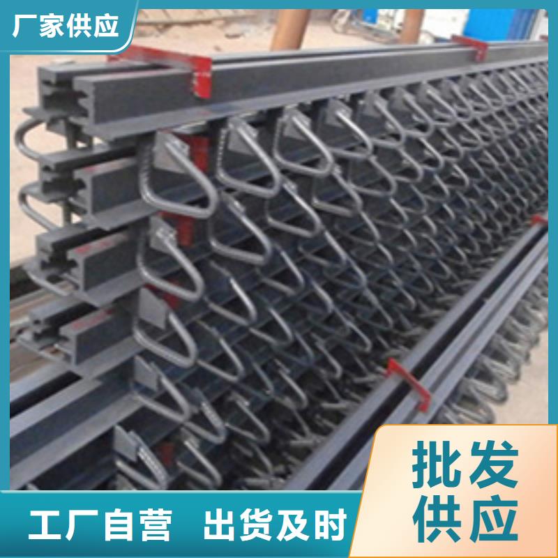 桥梁伸缩缝装置E型