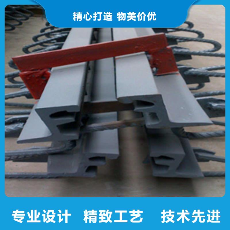 桥梁伸缩缝装置E型