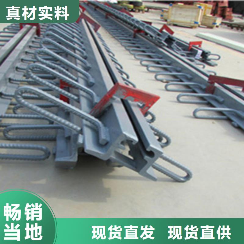 桥梁伸缩缝E型
