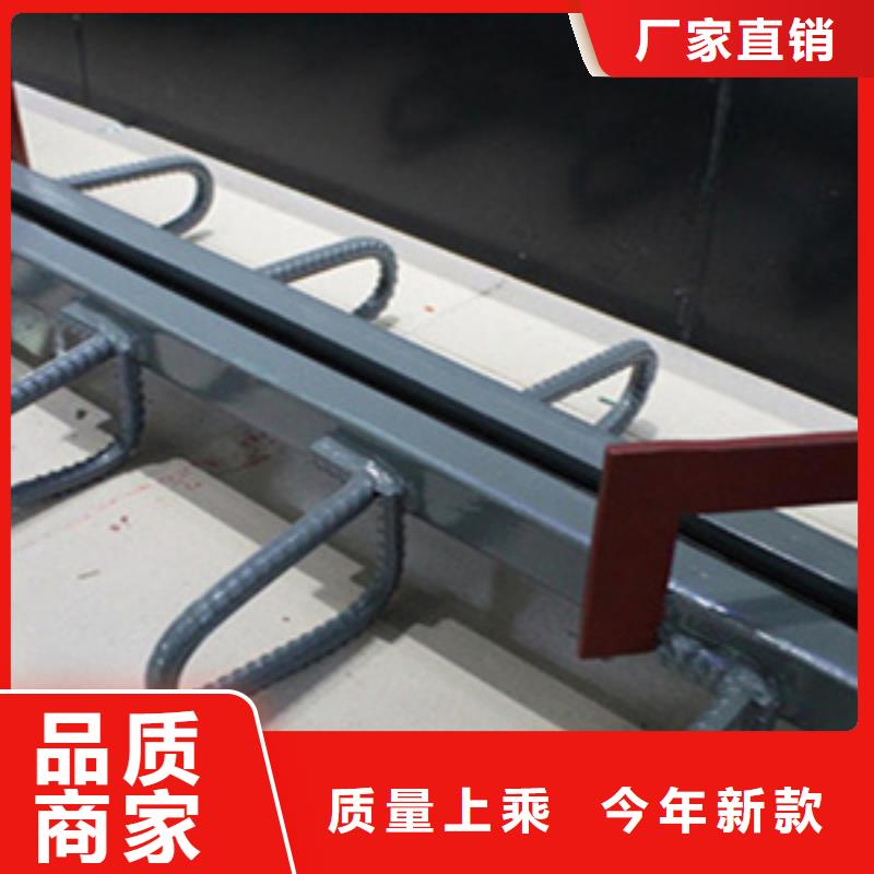 桥梁伸缩缝_橡胶坝修补专注质量