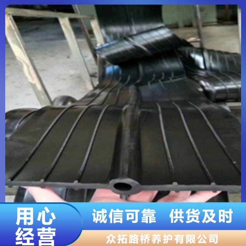 651型橡胶止水带水厂用海南琼海市