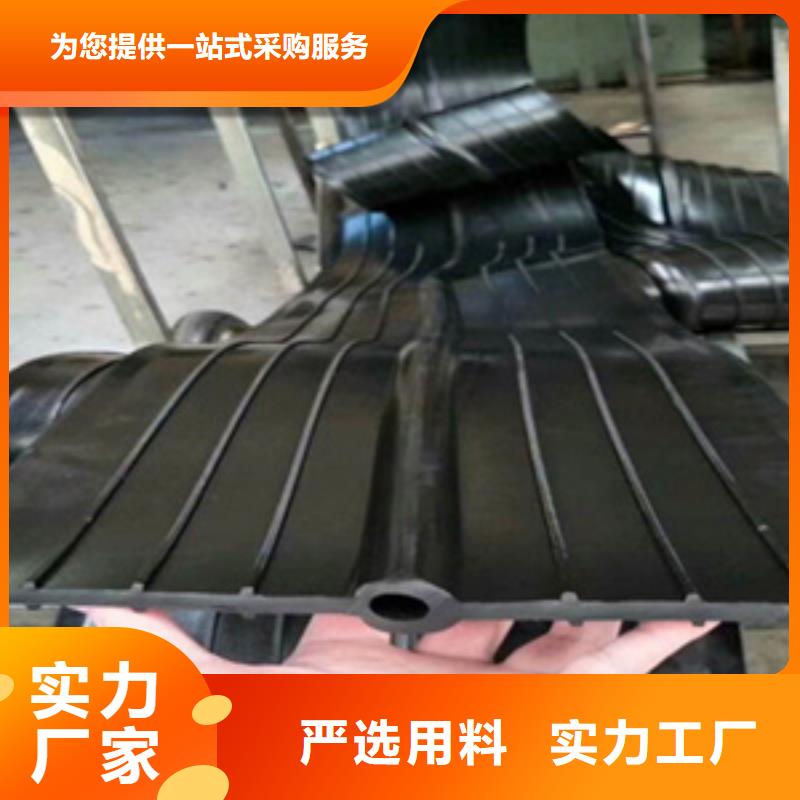 钢边橡胶止水带水利工程用