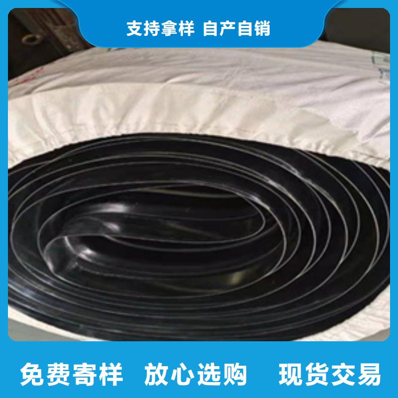 651型橡胶止水带水厂用海南琼海市