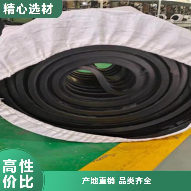 651型橡胶止水带水厂用海南琼海市