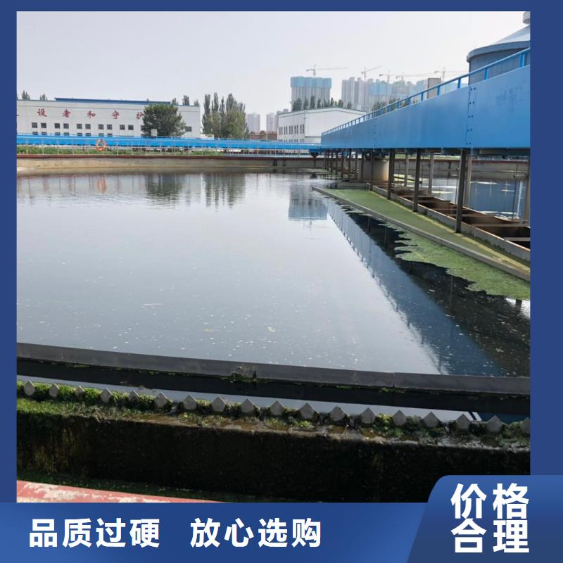 碱式氯化铝价格