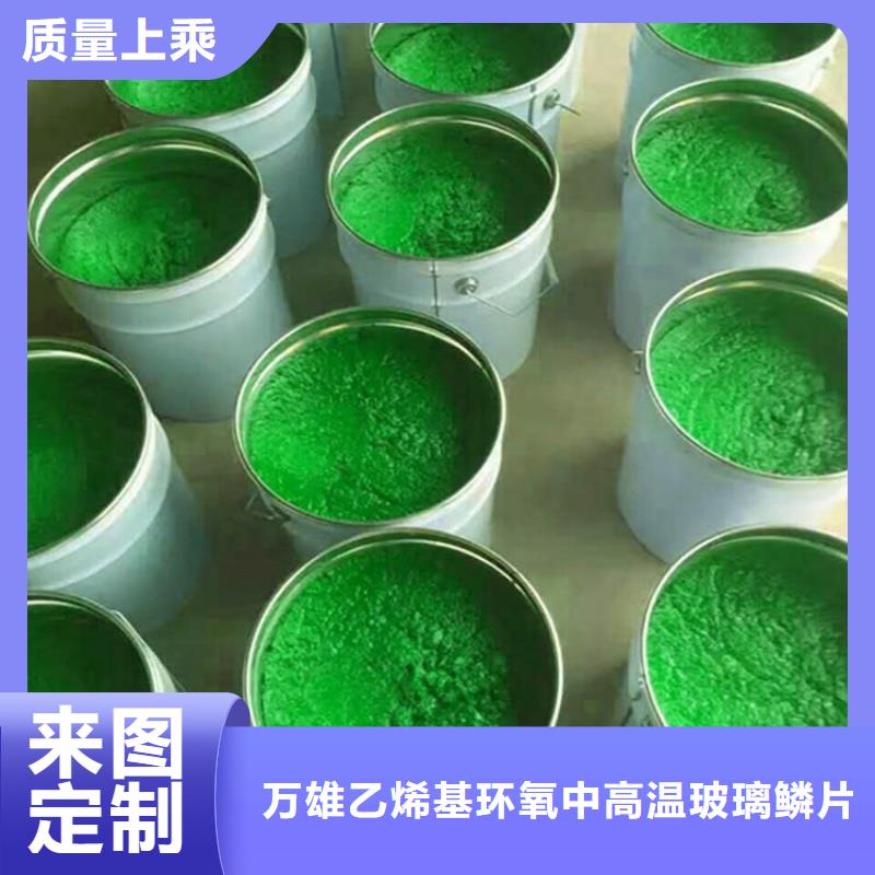 【玻璃鳞片胶泥厂家售后完善】