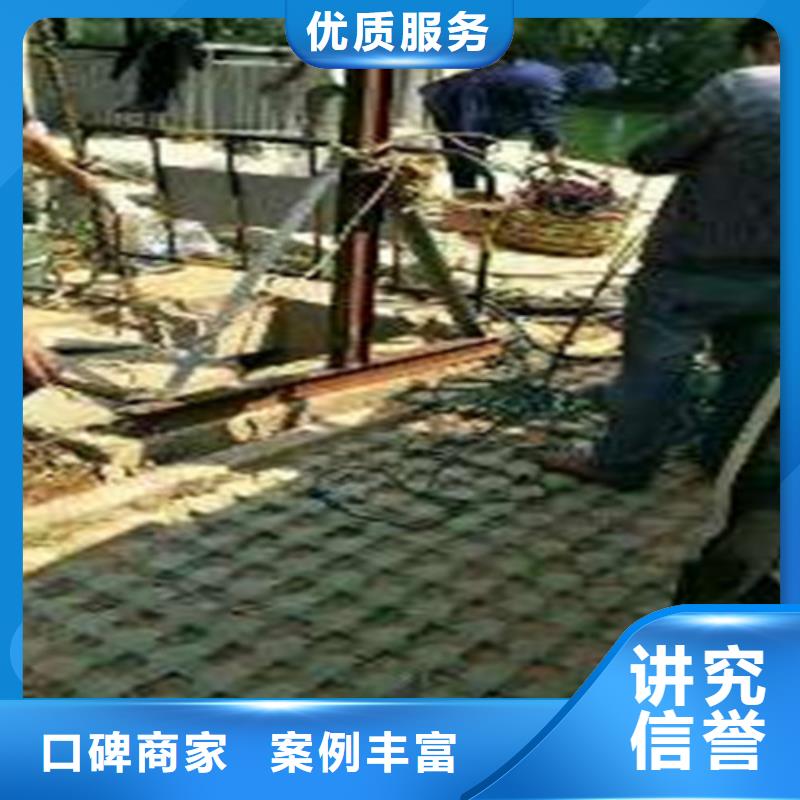 东方市蛙人水下打捞机器人
