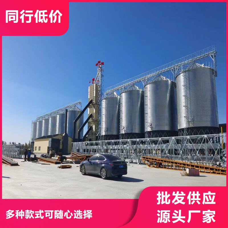 大型立式粮食储存仓非标规格定做