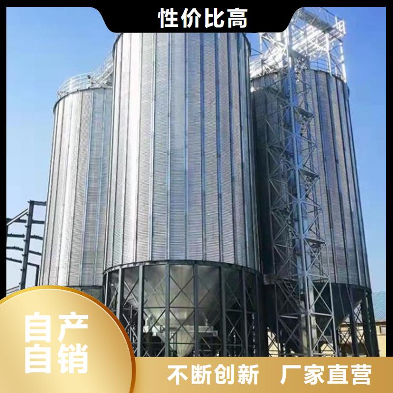大型立式粮食储存仓提供定制