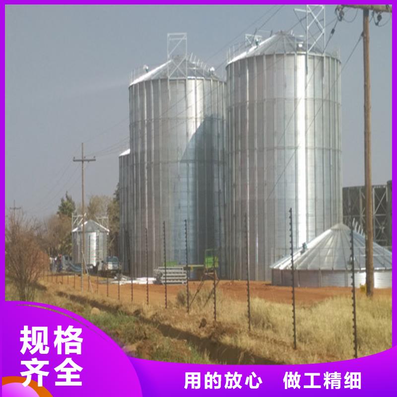 大型立式粮食储存仓提供定制