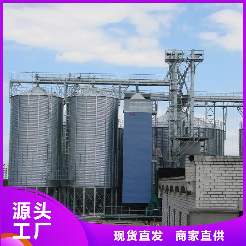大型立式粮食储存仓非标规格定做