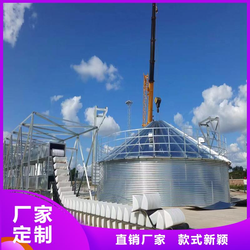 装配式镀锌钢板仓正规工厂有保障