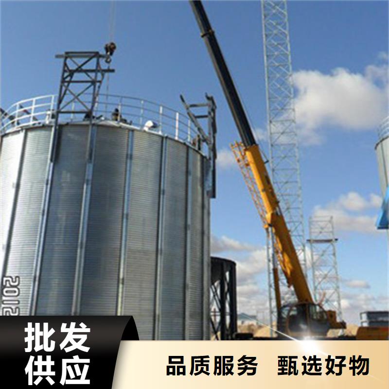 发货速度快的大型立式粮食储存仓供货商